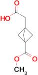 2-(3-(METHOXYCARBONYL)BICYCLO[1.1.1]PENTAN-1-YL)ACETIC ACID