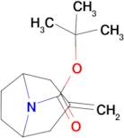 3-METHYLENE-8-BOC-8-AZABICYCLO[3.2.1]OCTANE