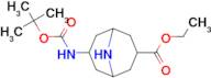 ETHYL 7-(TERT-BOC-AMINO)-9-AZABICYCLO[3.3.1]NONANE-3-CARBOXYLATE