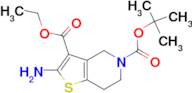 ETHYL 2-AMINO-5-BOC-6,7-DIHYDRO-4H-THIENO[3,2-C]PYRIDINE-3-CARBOXYLATE