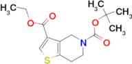 ETHYL 5-BOC-6,7-DIHYDRO-4H-THIENO[3,2-C]PYRIDINE-3-CARBOXYLATE