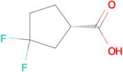 (S)-3,3-DIFLUOROCYCLOPENTANECARBOXYLIC ACID