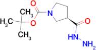 (R)-1-BOC-PYRROLIDINE-3-CARBOXYLIC ACID HYDRAZIDE