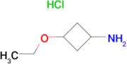 3-ETHOXYCYCLOBUTAN-1-AMINE HCL