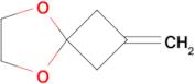 2-METHYLENE-5,8-DIOXASPIRO[3.4]OCTANE