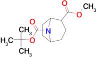 METHYL 8-BOC-8-AZABICYCLO[3.2.1]OCTANE-2-CARBOXYLATE