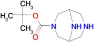 TERT-BUTYL 3,7,9-TRIAZABICYCLO[3.3.1]NONANE-3-CARBOXYLATE