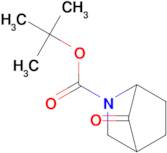 N-BOC-2-AZABICYCLO[2.2.1]HEPTAN-7-ONE