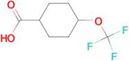 4-(Trifluoromethoxy)cyclohexanecarboxylic acid