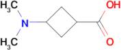 3-(DIMETHYLAMINO)CYCLOBUTANE-1-CARBOXYLIC ACID