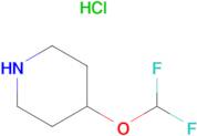 4-(DIFLUOROMETHOXY)PIPERIDINE HCL