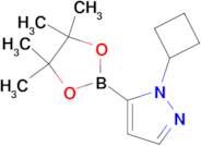 1-CYCLOBUTYL-PYRAZOLE-5-BORONIC ACID PINACOL ESTER