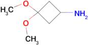 3,3-DIMETHOXYCYCLOBUTAN-1-AMINE