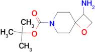 3-AMINO-7-BOC-1-OXA-7-AZASPIRO[3.5]NONANE