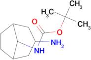 TERT-BUTYL (3-AMINOBICYCLO[3.2.1]OCTAN-8-YL)CARBAMATE