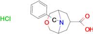 9-BENZYL-3-OXA-9-AZABICYCLO[3.3.1]NONANE-7-CARBOXYLIC ACID HCL