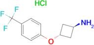 CYCLOBUTANAMINE, 3-(4-TRIFLUOROMETHYLPHENOXY)-, HCL (1:1), TRANS-