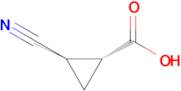 trans-2-Cyanocyclopropanecarboxylic acid