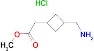 METHYL 2-[3-(AMINOMETHYL)CYCLOBUTYL]ACETATE HCL