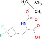 2-((TERT-BUTOXYCARBONYL)AMINO)-3-(3,3-DIFLUOROCYCLOBUTYL)PROPANOIC ACID