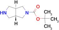 TRANS-TERT-BUTYL HEXAHYDROPYRROLO[3,4-C]PYRROLE-2(1H)-CARBOXYLATE