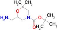 (S)-TERT-BUTYL 6-(AMINOMETHYL)-2,2-DIMETHYLMORPHOLINE-4-CARBOXYLATE