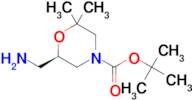 (R)-TERT-BUTYL 6-(AMINOMETHYL)-2,2-DIMETHYLMORPHOLINE-4-CARBOXYLATE