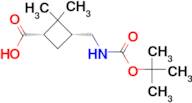 3-(TERT-BUTOXYCARBONYLAMINO-METHYL)-2,2-DIMETHYL-CYCLOBUTANECARBOXYLIC ACID