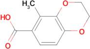 5-METHYL-2,3-DIHYDROBENZO[B][1,4]DIOXINE-6-CARBOXYLIC ACID