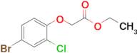 ETHYL 2-(4-BROMO-2-CHLOROPHENOXY)ACETATE