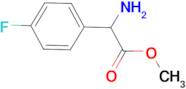 METHYL 2-AMINO-2-(4-FLUOROPHENYL)ACETATE