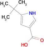 5-TERT-BUTYL-1H-PYRROLE-3-CARBOXYLIC ACID