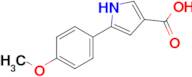 5-(4-METHOXYPHENYL)-1H-PYRROLE-3-CARBOXYLIC ACID