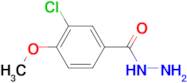 3-CHLORO-4-METHOXYBENZOHYDRAZIDE