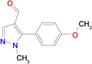 5-(4-METHOXYPHENYL)-1-METHYL-1H-PYRAZOLE-4-CARBALDEHYDE