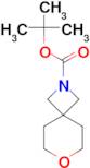 TERT-BUTYL 7-OXA-2-AZASPIRO[3.5]NONANE-2-CARBOXYLATE