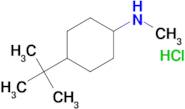 4-TERT-BUTYL-N-METHYLCYCLOHEXAN-1-AMINE HCL