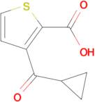 3-(CYCLOPROPANECARBONYL)THIOPHENE-2-CARBOXYLIC ACID