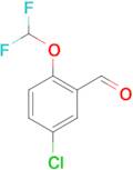 5-CHLORO-2-(DIFLUOROMETHOXY)BENZALDEHYDE