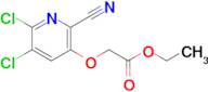ETHYL 2-((5,6-DICHLORO-2-CYANOPYRIDIN-3-YL)OXY)ACETATE