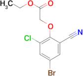 ETHYL 2-(4-BROMO-2-CHLORO-6-CYANOPHENOXY)ACETATE