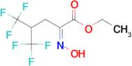 (Z)-ETHYL 5,5,5-TRIFLUORO-2-(HYDROXYIMINO)-4-(TRIFLUOROMETHYL)PENTANOATE