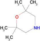 2,2,6,6-TETRAMETHYLMORPHOLINE