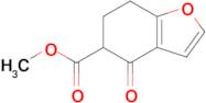 METHYL 4-OXO-4,5,6,7-TETRAHYDROBENZOFURAN-5-CARBOXYLATE