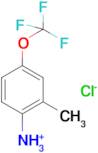 2-METHYL-4-(TRIFLUOROMETHOXY)BENZENAMINIUM CHLORIDE