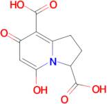 7-HYDROXY-5-OXO-1,2,3,5-TETRAHYDROINDOLIZINE-3,8-DICARBOXYLIC ACID