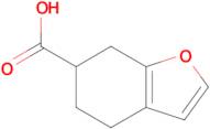 4,5,6,7-TETRAHYDROBENZOFURAN-6-CARBOXYLIC ACID