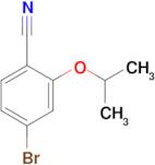 4-BROMO-2-ISOPROPOXYBENZONITRILE