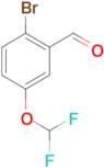 2-BROMO-5-(DIFLUOROMETHOXY)BENZALDEHYDE