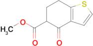 METHYL 4-OXO-4,5,6,7-TETRAHYDROBENZO[B]THIOPHENE-5-CARBOXYLATE